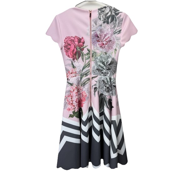 Ted Baker Pink Floral Palace Gardens Hailie Flare Dress Pockets Ted Size 0 US 2 - Picture 10 of 16